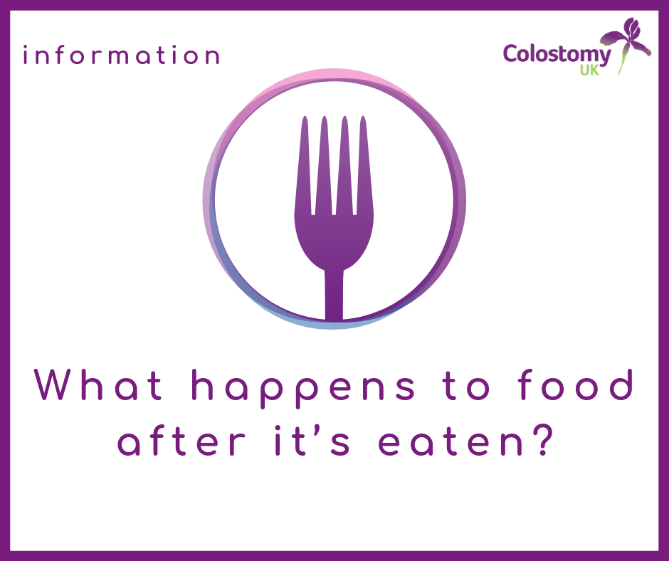 Colostomy UK: what happens to food
