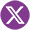 x-icon